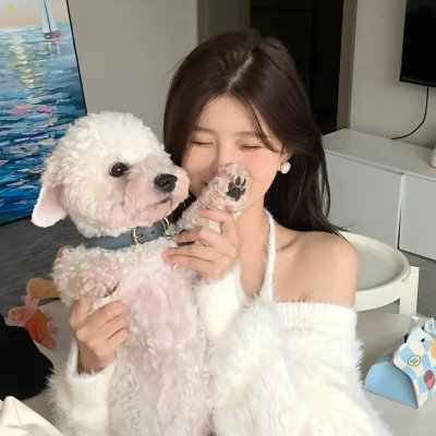 家事提案